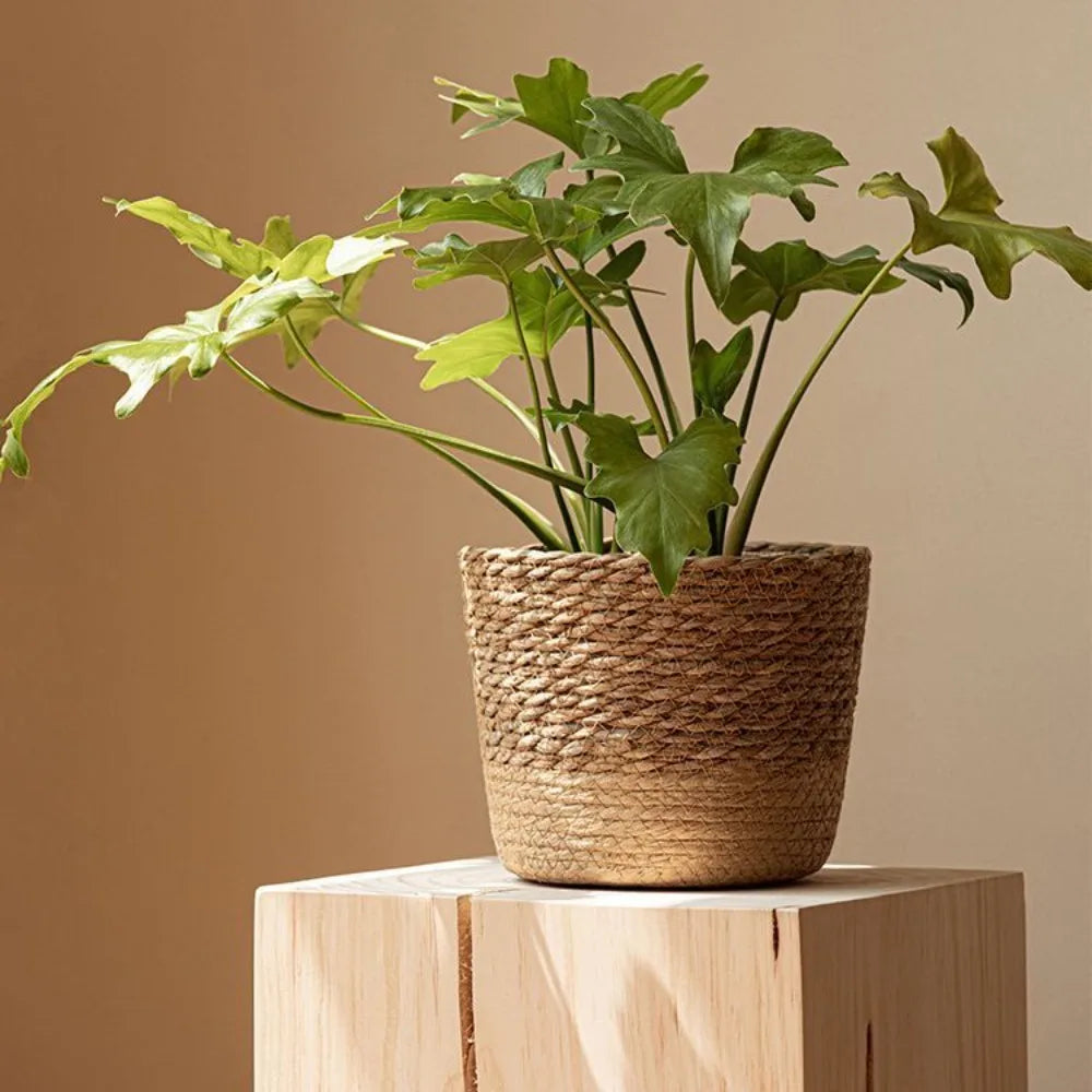 Straw Weaving Flower Plant Pot