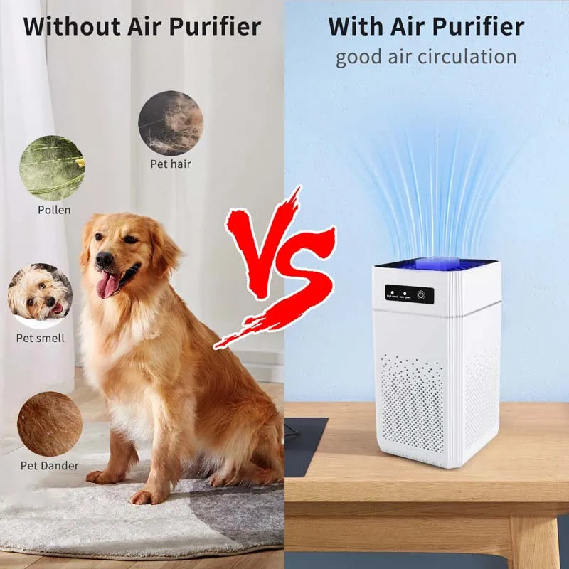 Professional home air purifier