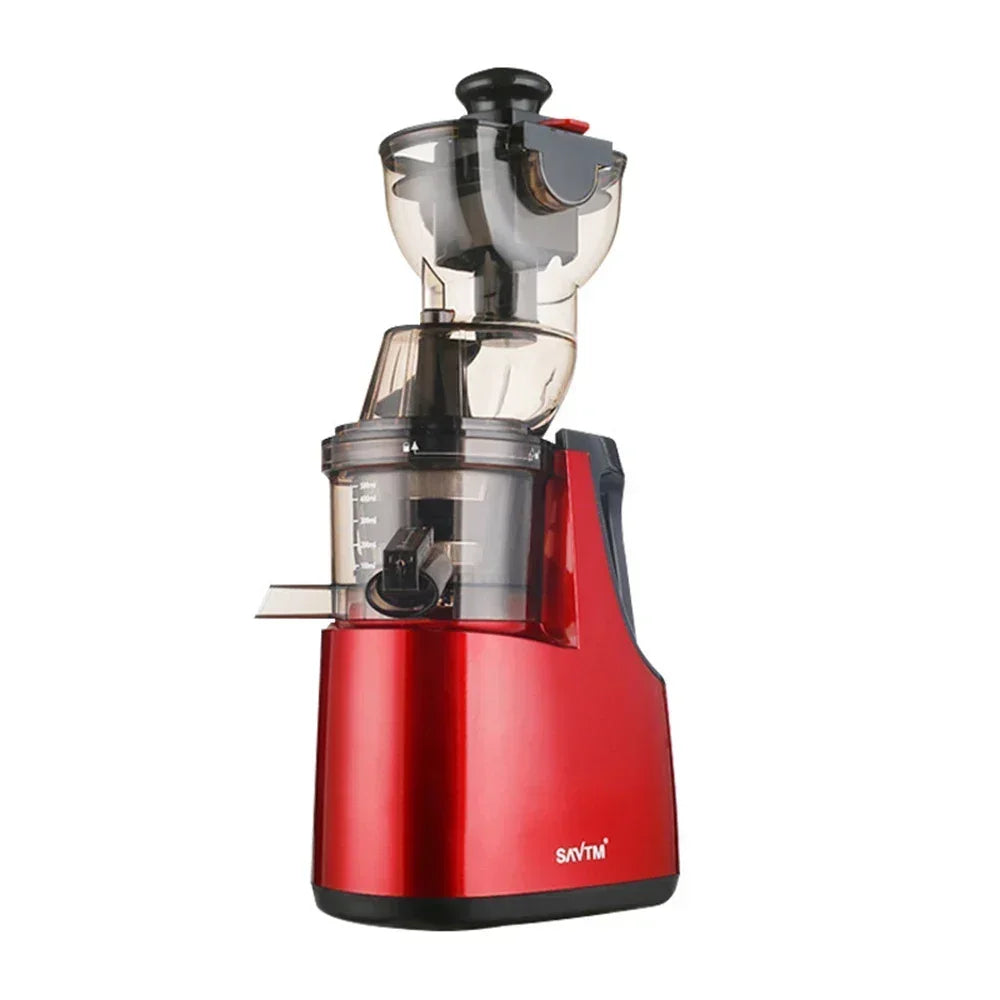 Masticating Juicer Machine