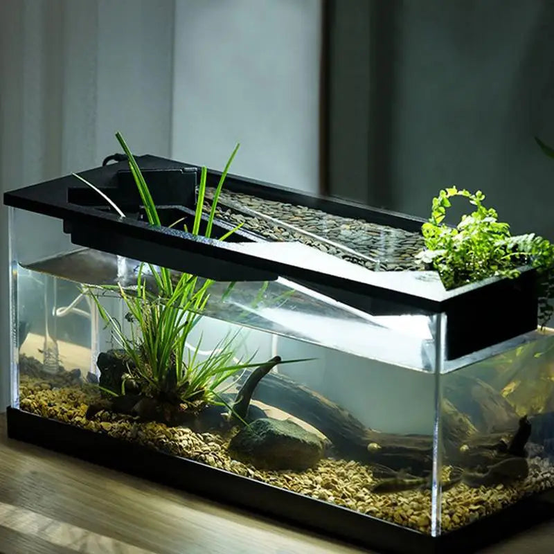 Small Fish Tank Starter Kits with Air Pump for Tabletop