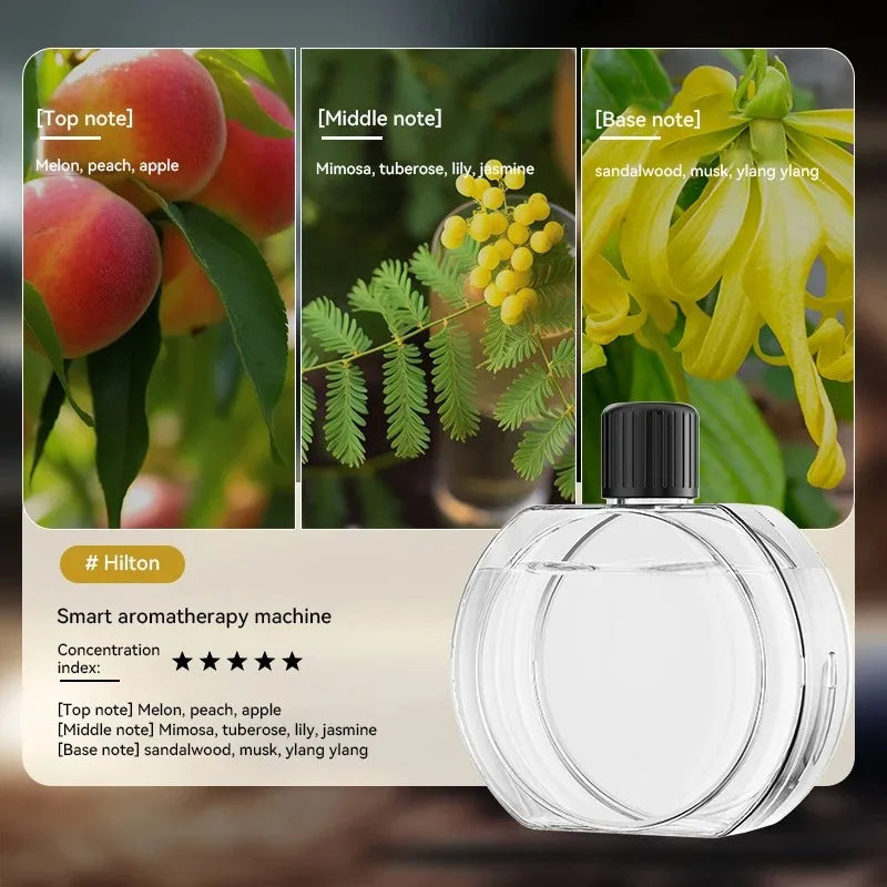 Aromatherapy Machine Desktop Air Purifying Diffuser