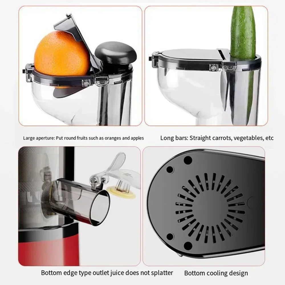Masticating Juicer Machine