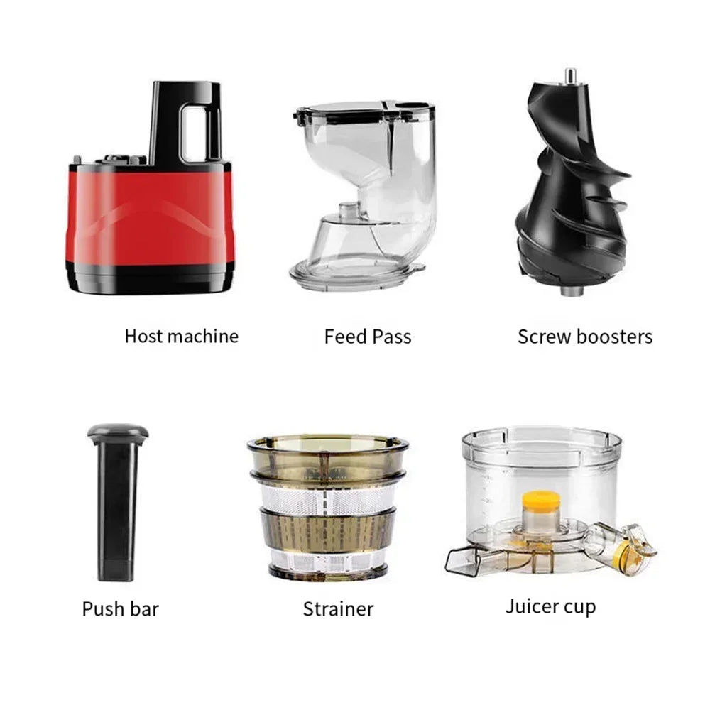 Masticating Juicer Machine