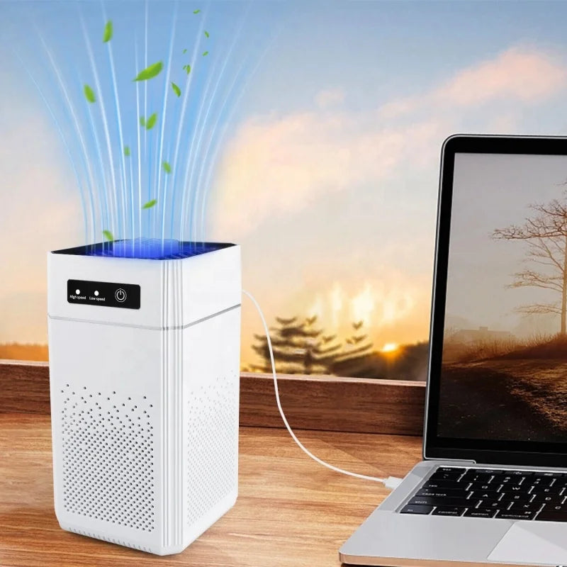 Professional home air purifier