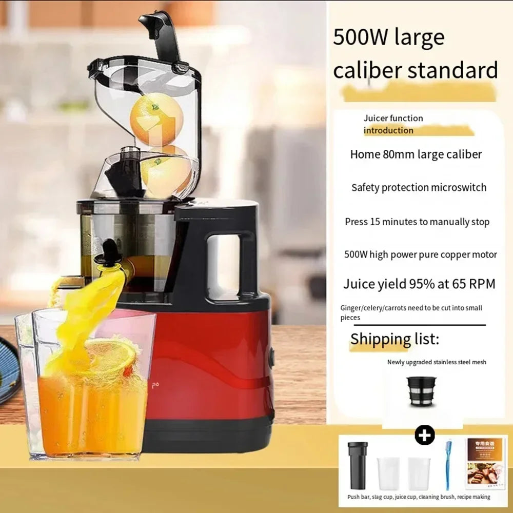 Masticating Juicer Machine