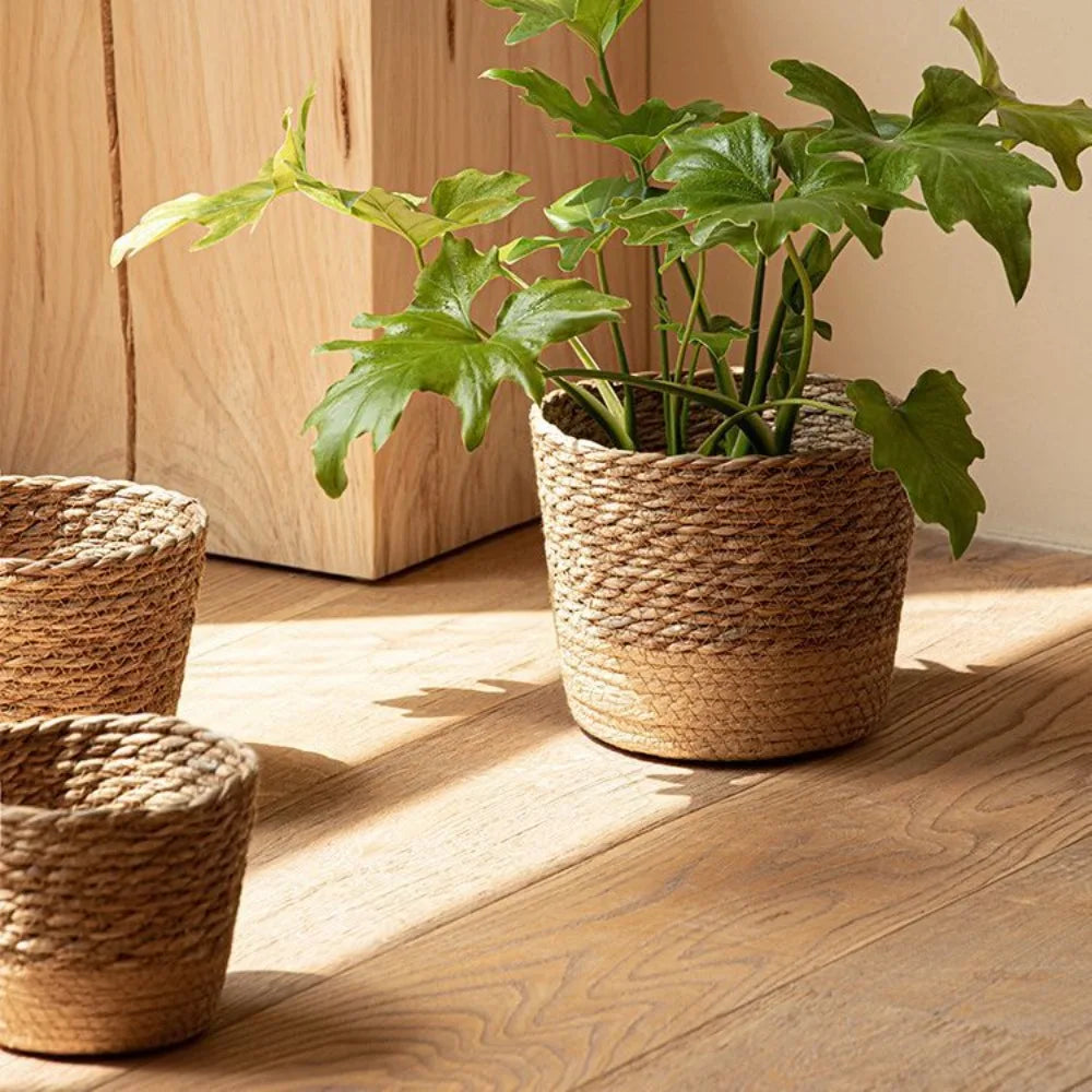 Straw Weaving Flower Plant Pot