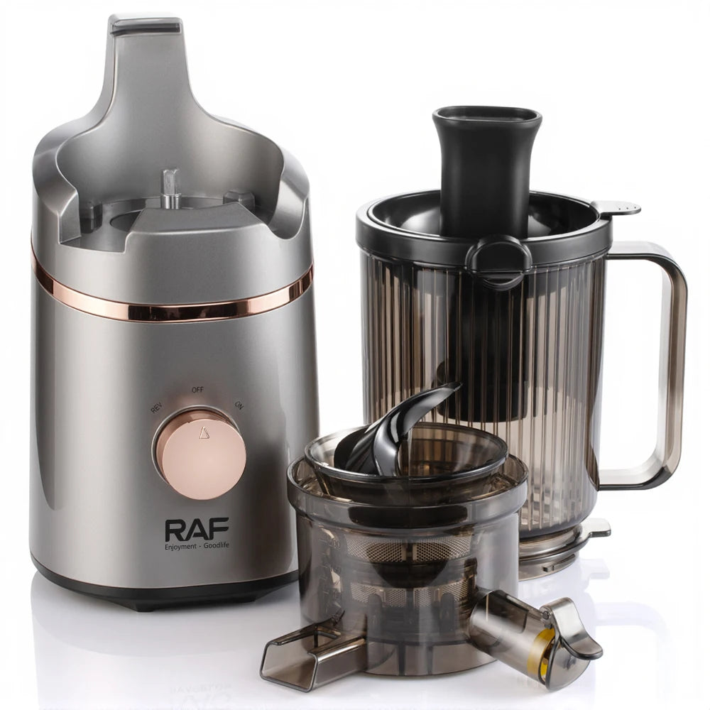 Juicer Machines Masticating Slow Juicer for Vegetable Fruit