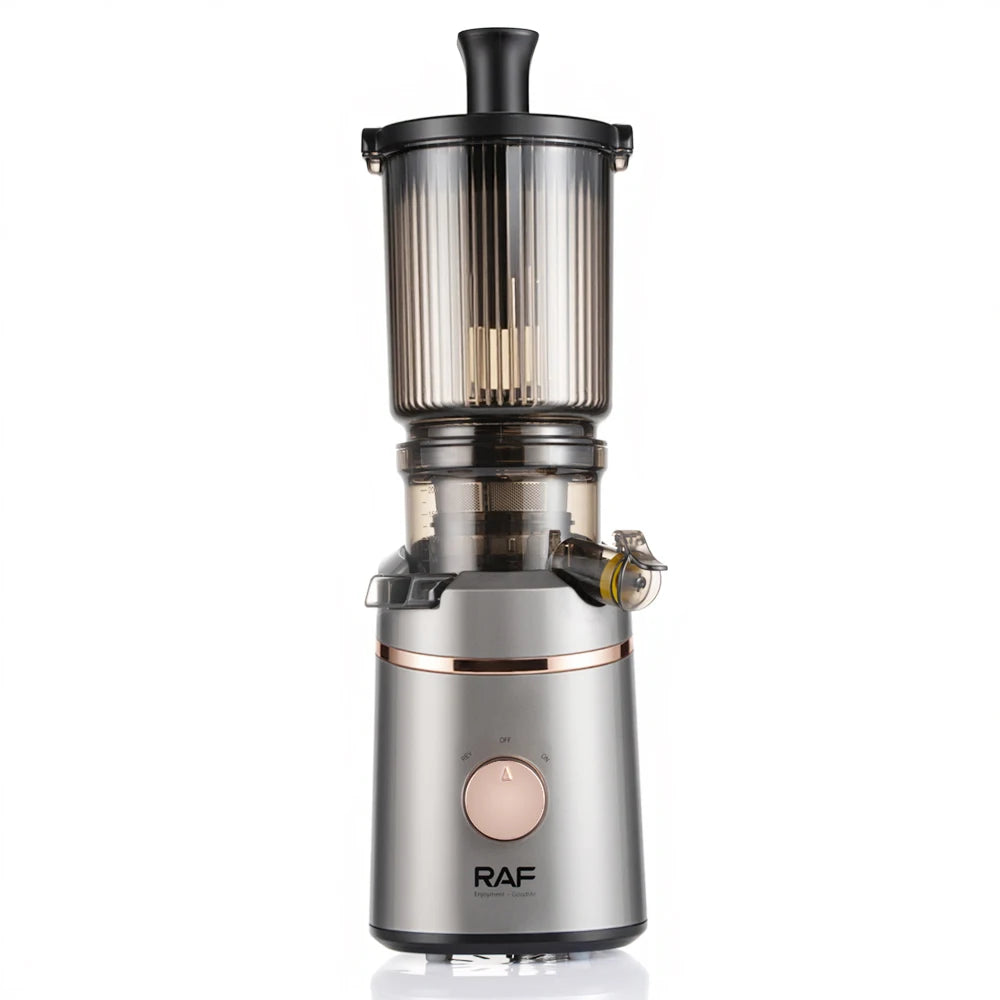 Juicer Machines Masticating Slow Juicer for Vegetable Fruit