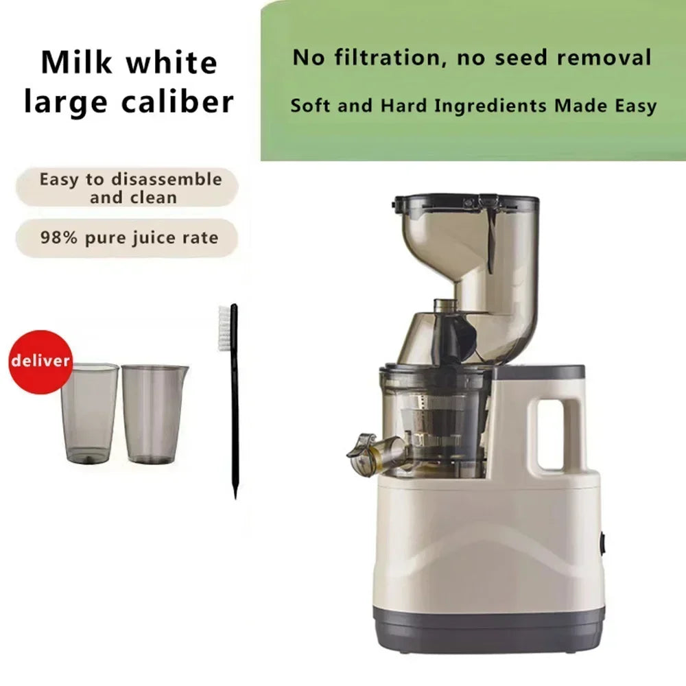 Masticating Juicer Machine