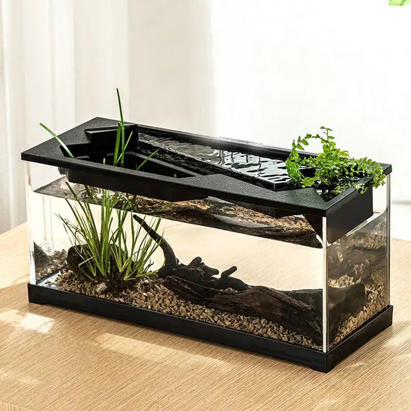Small Fish Tank Starter Kits with Air Pump for Tabletop