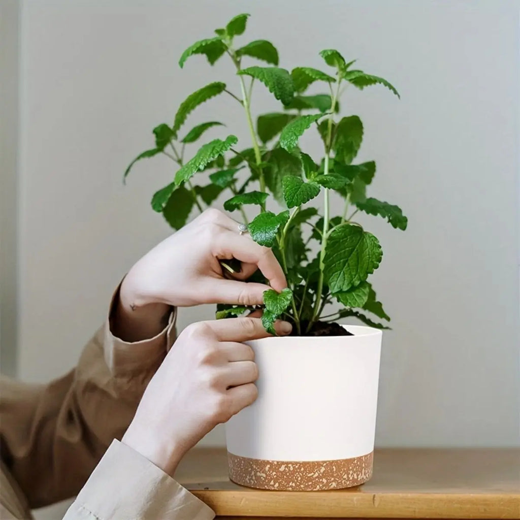 4pcs Flowerpot Removable Bottom