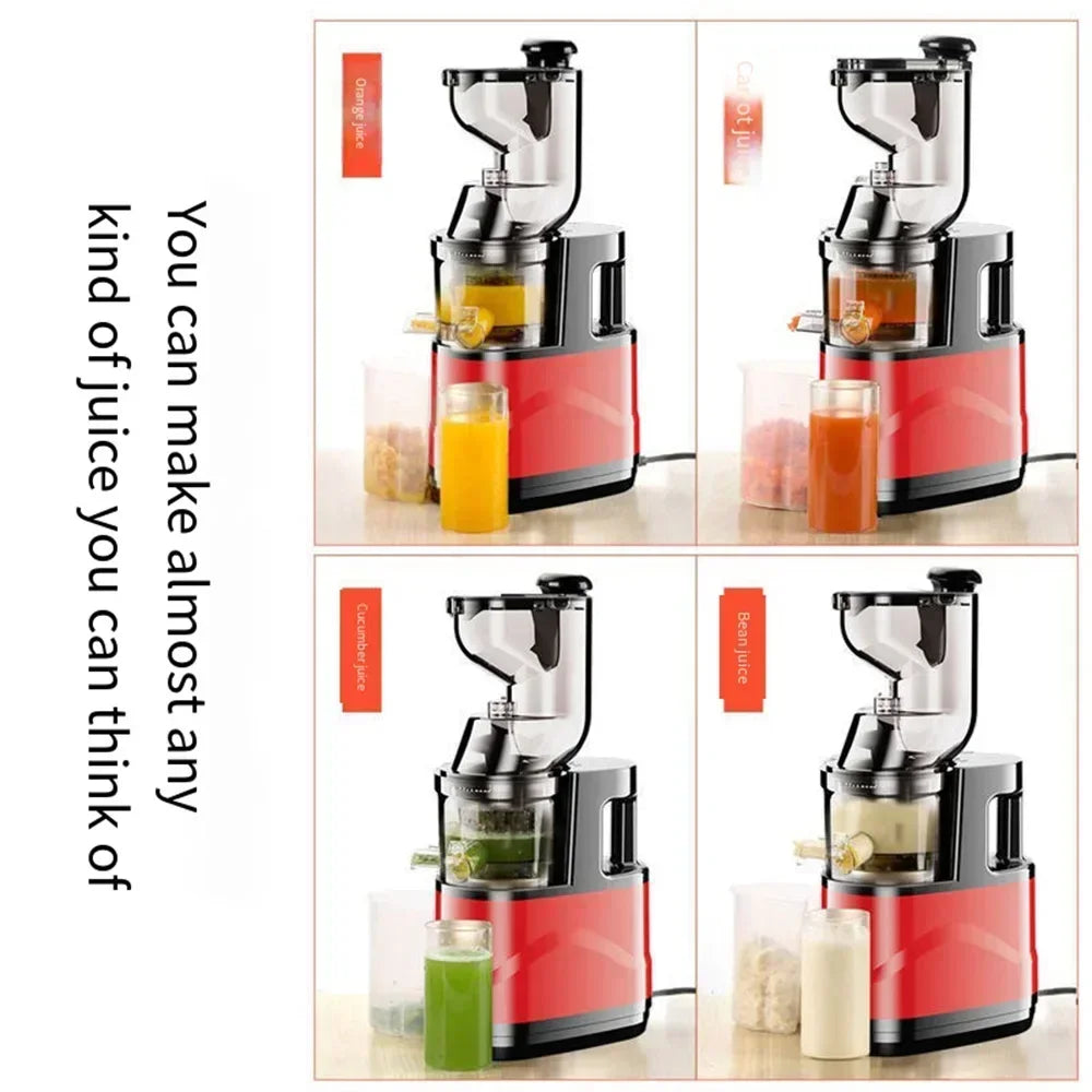 Masticating Juicer Machine