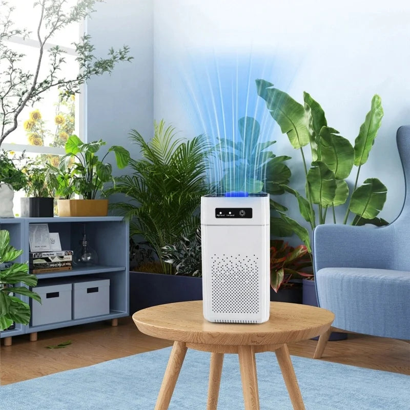 Professional home air purifier
