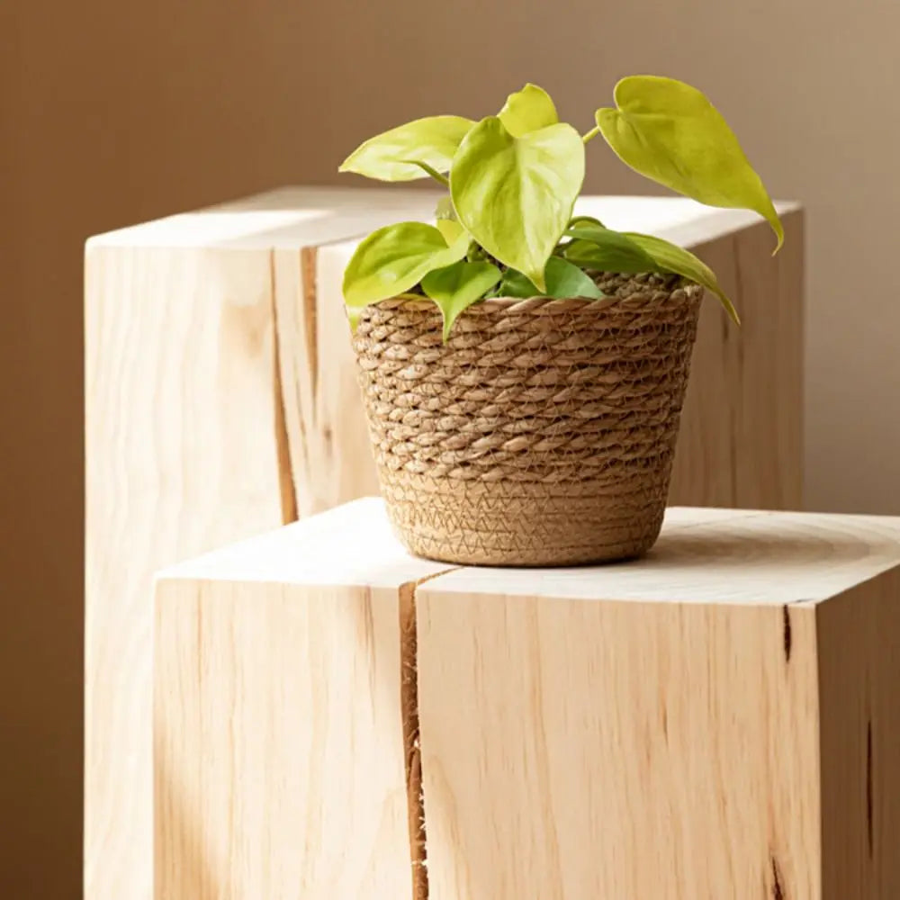 Straw Weaving Flower Plant Pot