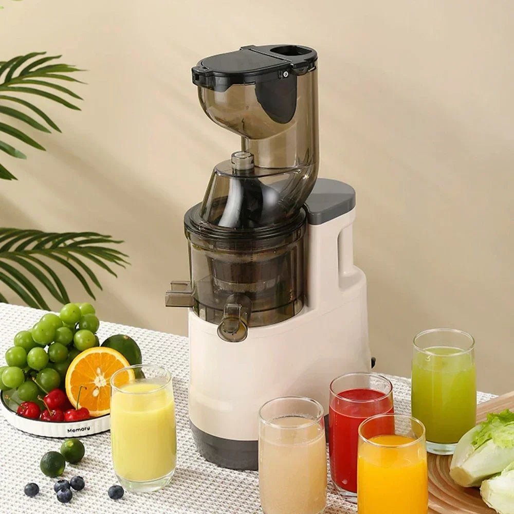 Masticating Juicer Machine