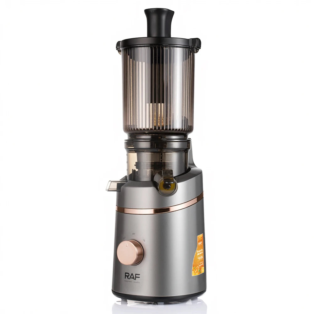 Juicer Machines Masticating Slow Juicer for Vegetable Fruit