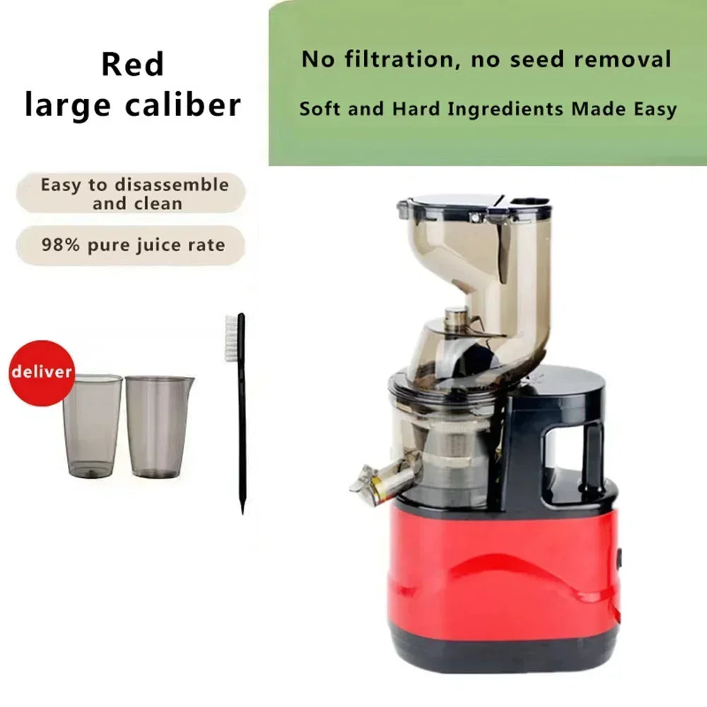 Masticating Juicer Machine