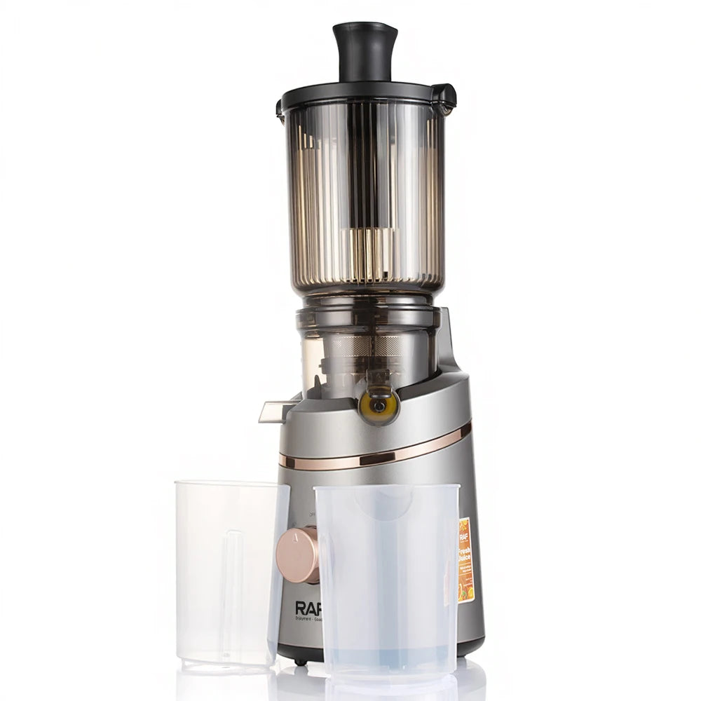 Juicer Machines Masticating Slow Juicer for Vegetable Fruit